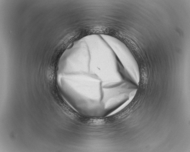 X0000115730665200912031408