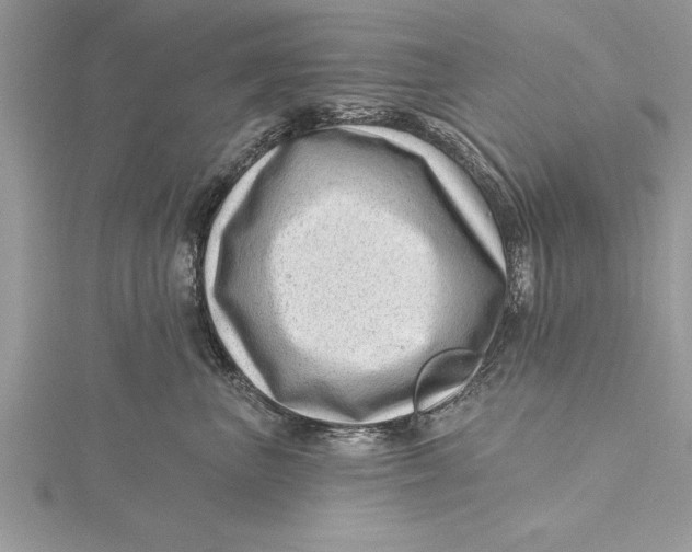 X0000115730667200912031408