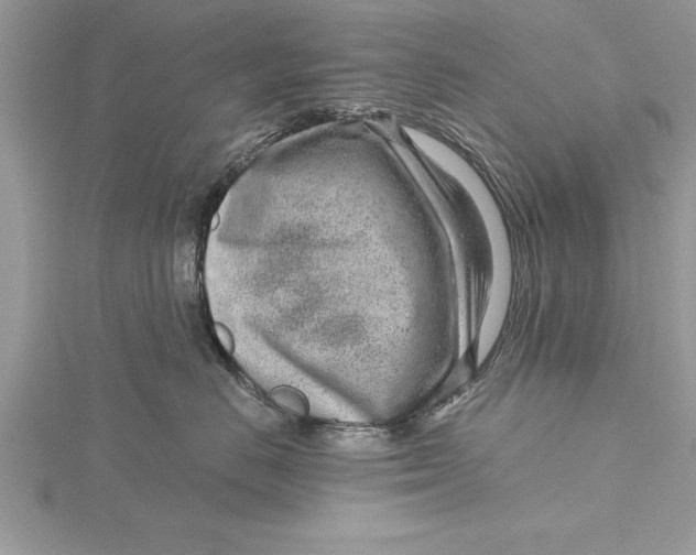 X0000115730670200912031408