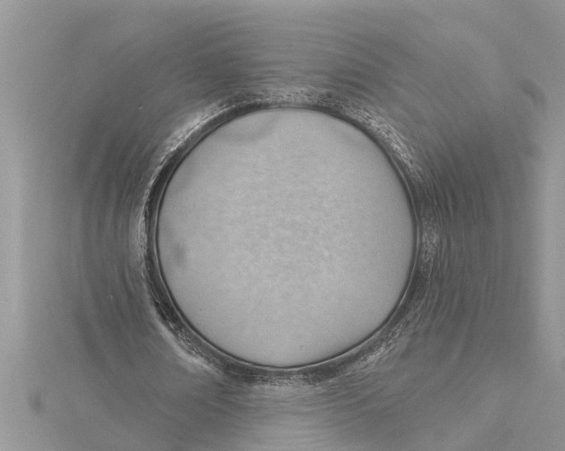 X0000115730674200912031407