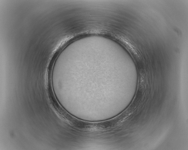 X0000115730678200912031407