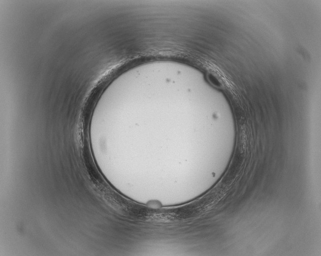 X0000115730680200912031407