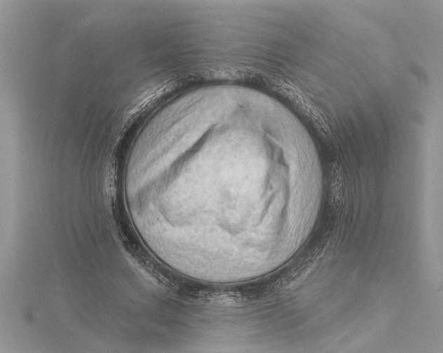 X0000115730683200912031407