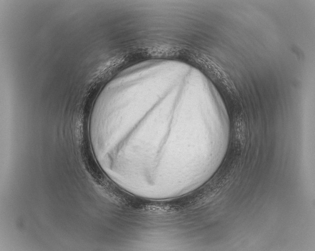 X0000115730690200912031407