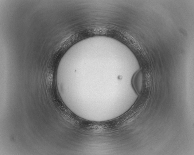 X0000115730697200912031407