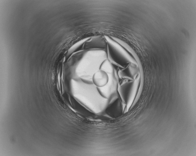 X0000115730709200912031406