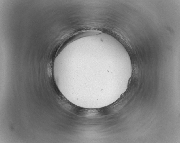 X0000115730719200912031406