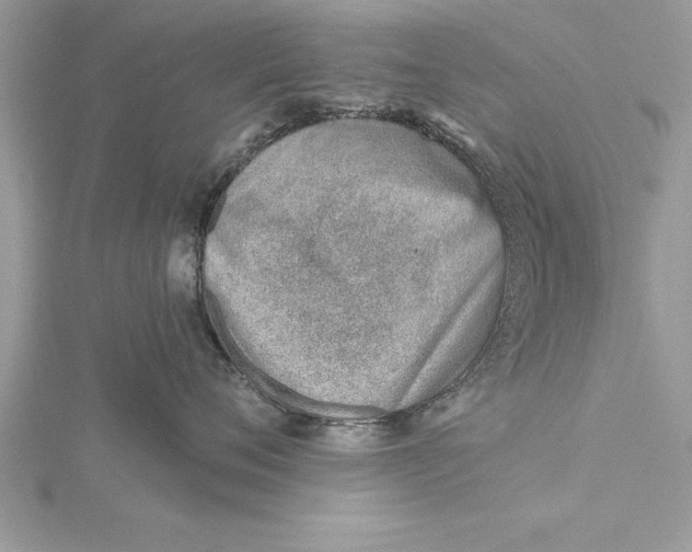 X0000115730720200912031406