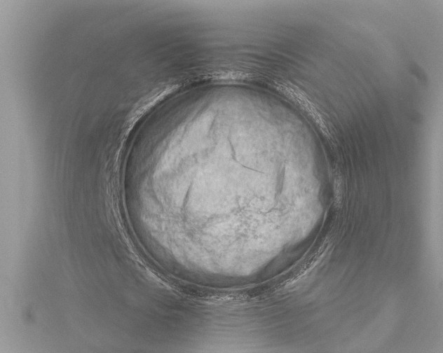 X0000115730721200912031406