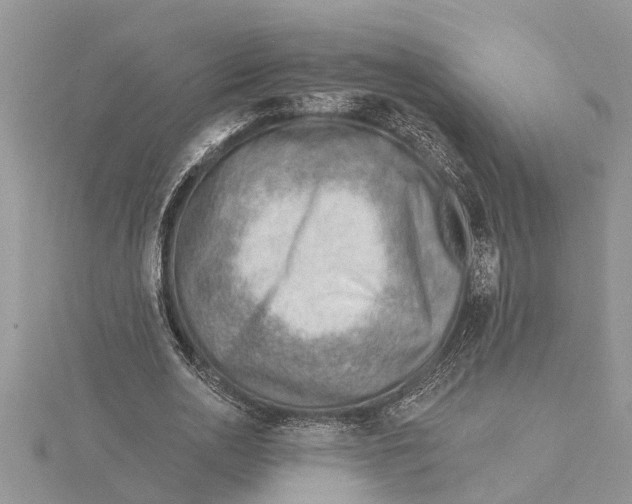 X0000115730726200912031406