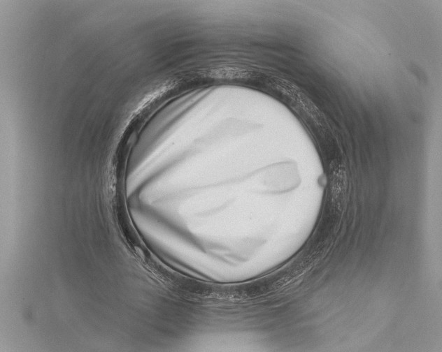 X0000115730727200912031406