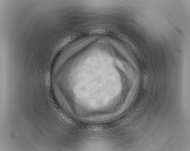 X0000115730729200912031406