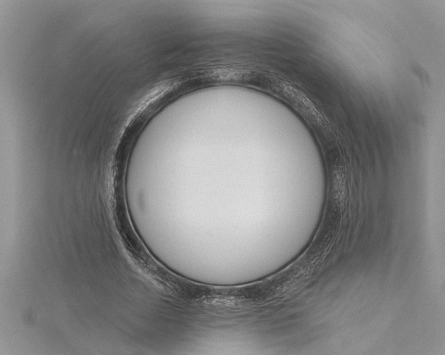 X0000115730730200912031406