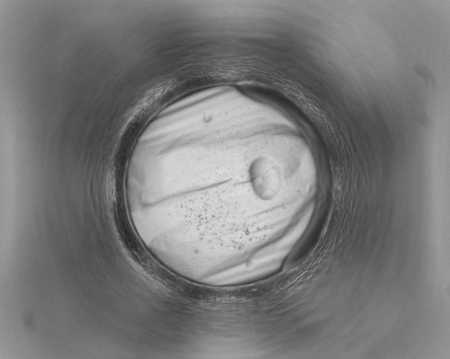 X0000115730734200912031406