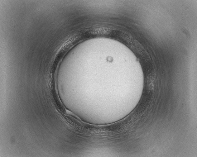 X0000115730735200912031406