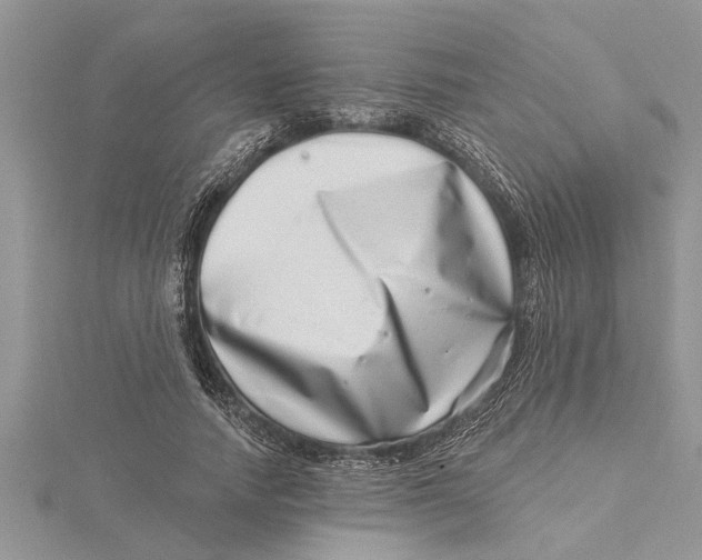 X0000115730738200912031406