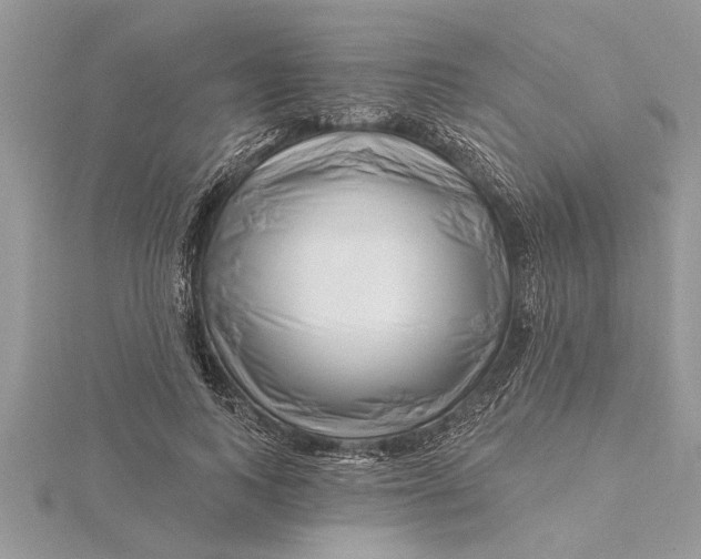 X0000115730743200912031406