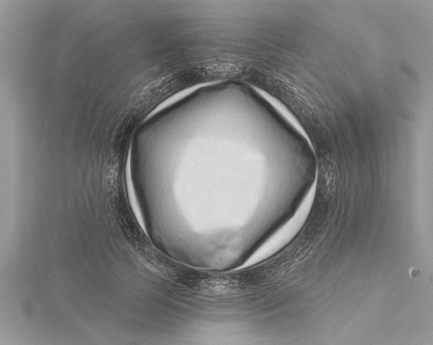 X0000115730745200912031406