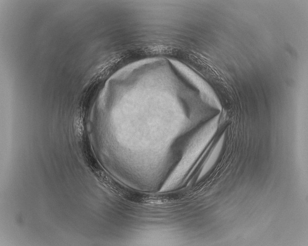 X0000115730746200912031406