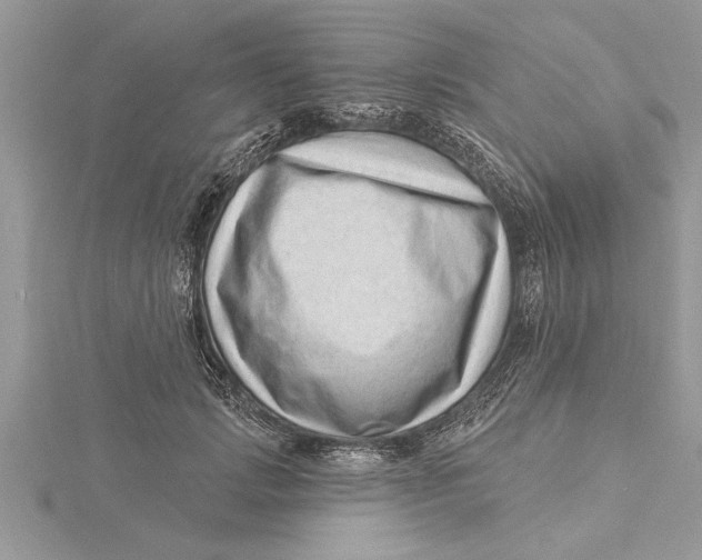 X0000115730749200912031406