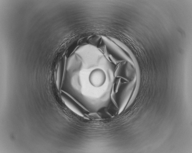 X0000115730750200912031406