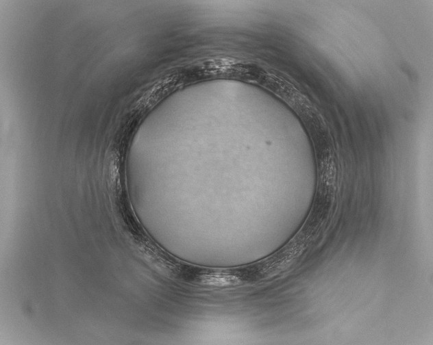 X0000115730754200912031406