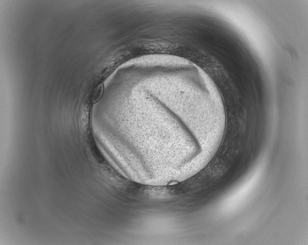 X0000115730767200912031406