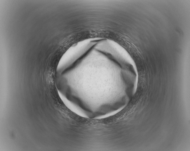 X0000115730770200912031406