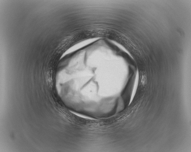 X0000115730771200912031406