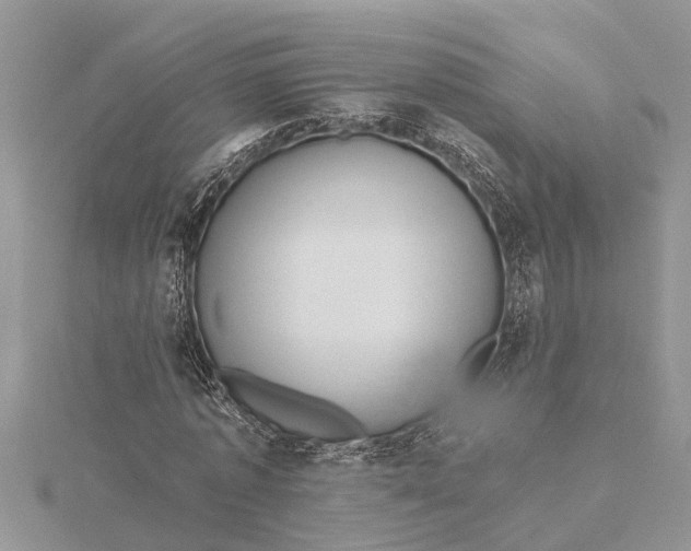 X0000115730773200912031406