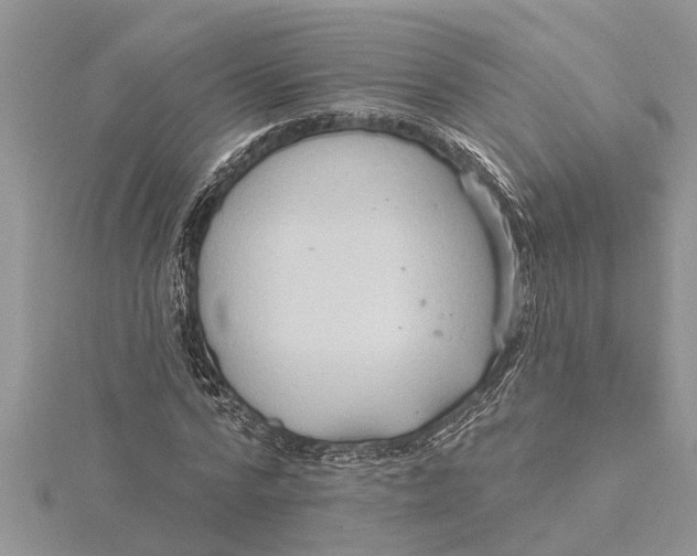 X0000115730776200912031405