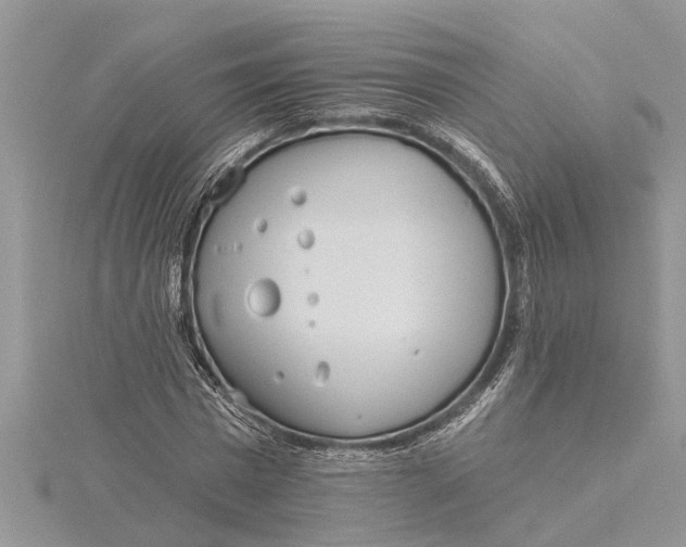 X0000115730777200912031405