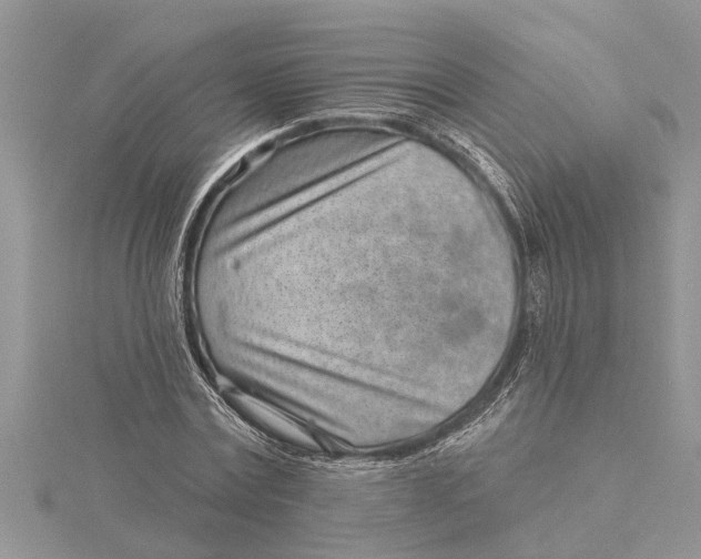 X0000115730779200912031405