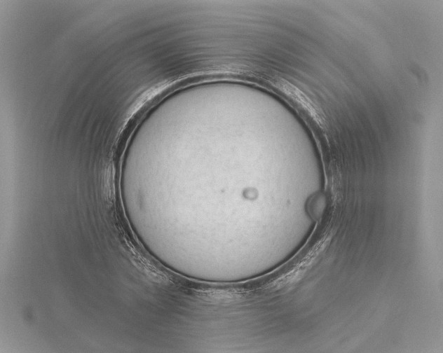 X0000115730781200912031405