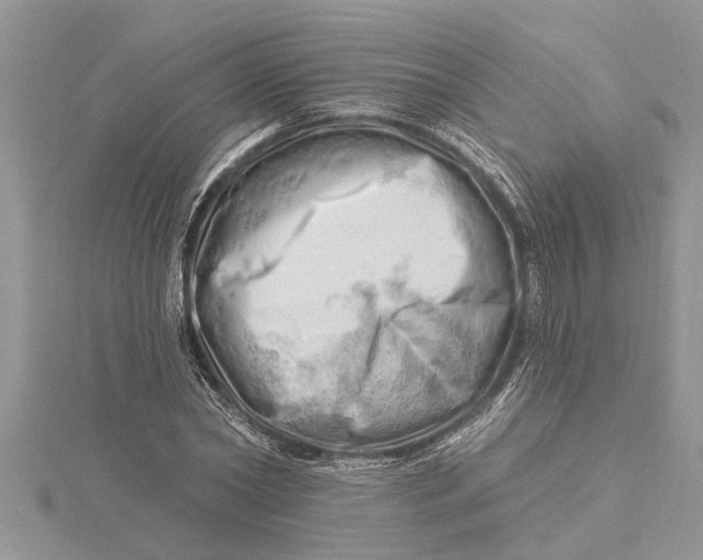 X0000115730782200912031405