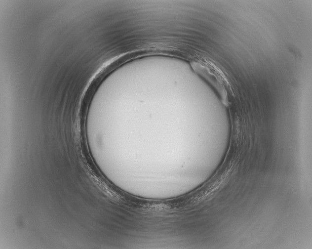 X0000115730784200912031405