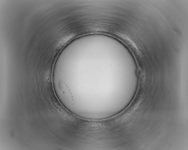 X0000115730785200912031405