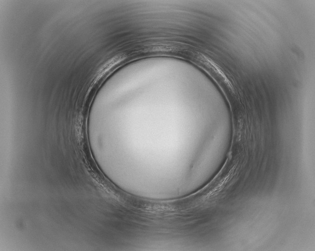 X0000115730786200912031405