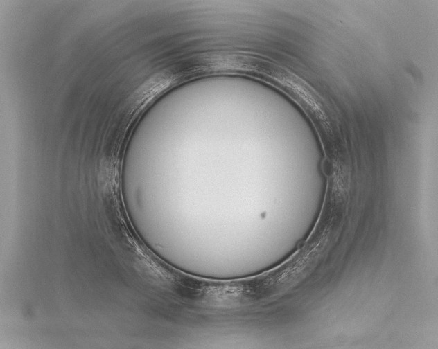 X0000115730793200912031405