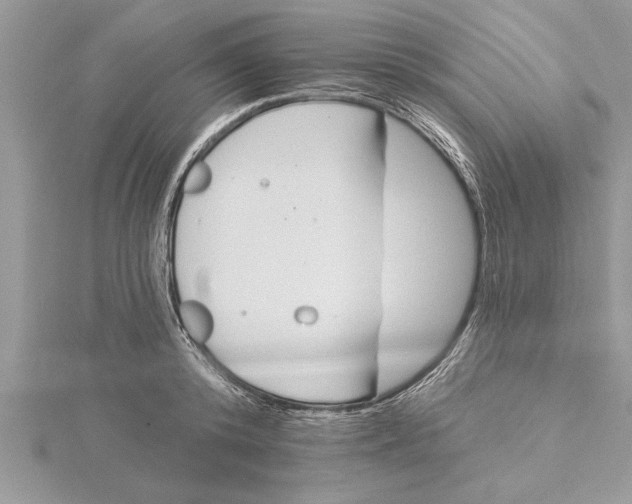 X0000115730800200912031405