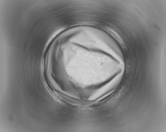 X0000115730804200912031405