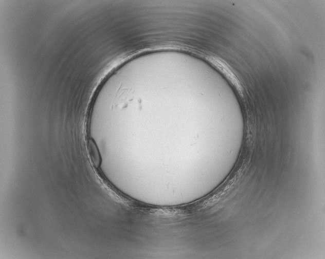 X0000115730805200912031405