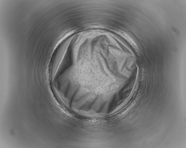 X0000115730806200912031405