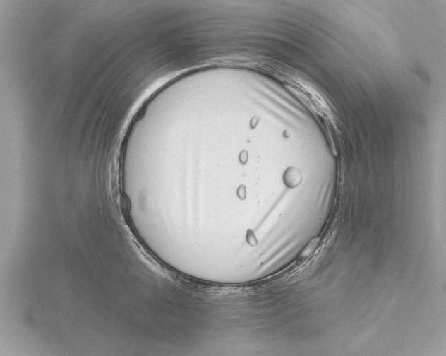 X0000115730808200912031405