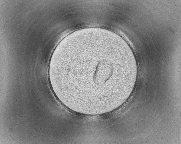 X0000115730810200912031405