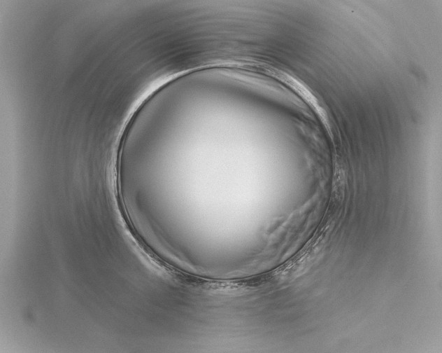 X0000115730811200912031405