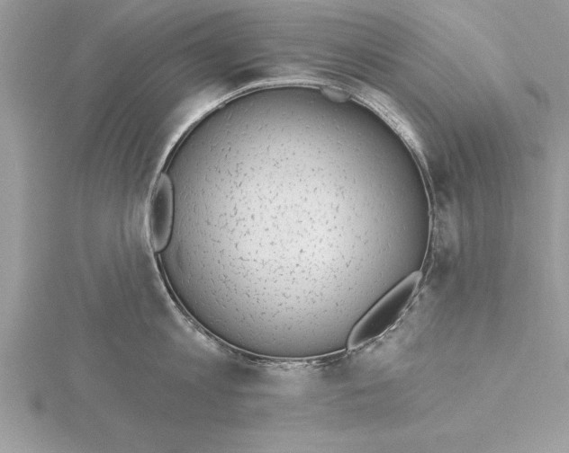 X0000115730813200912031405