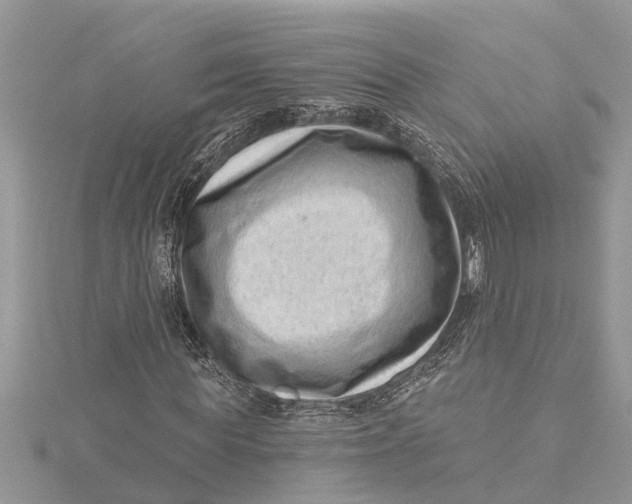 X0000115730819200912031404