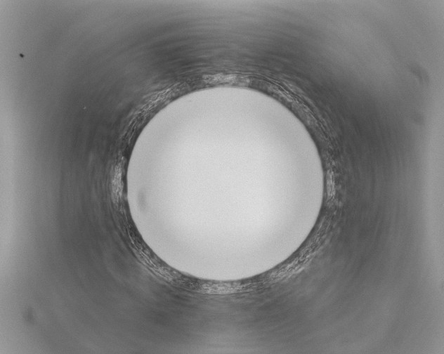 X0000115730820200912031404