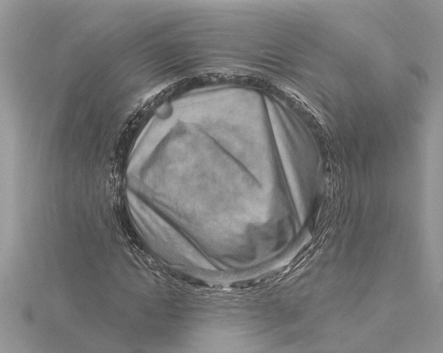 X0000115730822200912031404